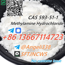 CAS 593-51-1 Methylamine Hydrochloride Threema: SFTJNCW5 tele@Angeli338