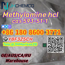 CAS 593-51-1 Methylamine hydrochloride Threema: Y8F3Z5CH