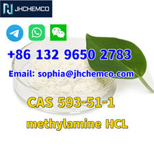 CAS 593-51-1 methylamine hydrochloride with high purity