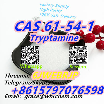 CAS 61-54-1 Tryptamine - Photo 2