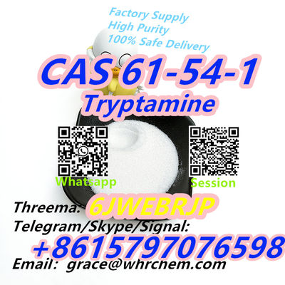 CAS 61-54-1 Tryptamine - Photo 3