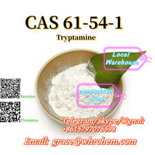 CAS 61-54-1 Tryptamine Factory Supply High Purity Safe Delivery