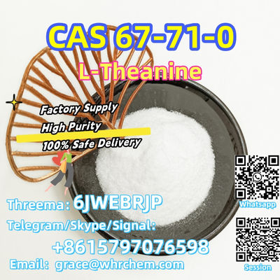 CAS 67-71-0 L-Theanine Factory Supply High Purity 100% Safe Delivery - Photo 2