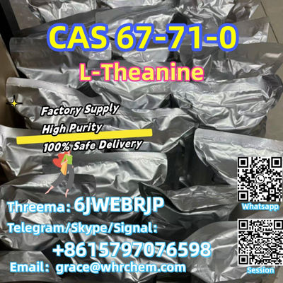 CAS 67-71-0 L-Theanine Factory Supply High Purity 100% Safe Delivery - Photo 4