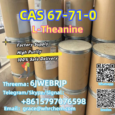 CAS 67-71-0 L-Theanine Factory Supply High Purity 100% Safe Delivery - Photo 5