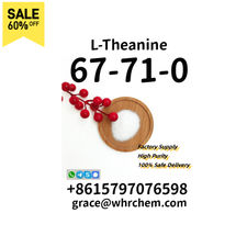 CAS 67-71-0 L-Theanine High Purity/Source Factory