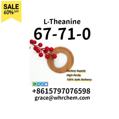 CAS 67-71-0 L-Theanine High Purity/Source Factory