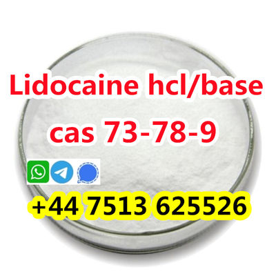 cas 73-78-9 Lidocaine Hydrochloride high quality