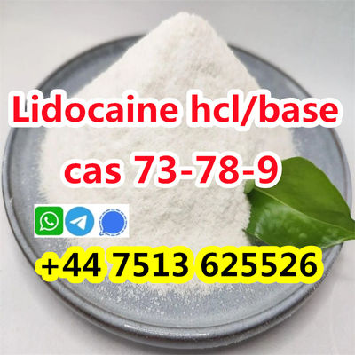 cas 73-78-9 Lidocaine Hydrochloride high quality - Photo 5