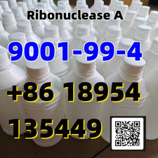 Cas 9001-99-4 Ribonuclease a