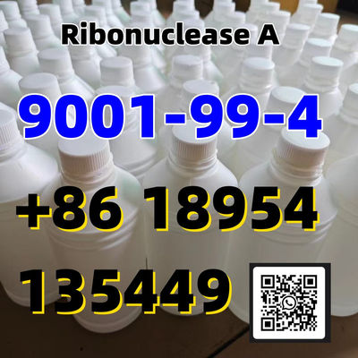Cas 9001-99-4 Ribonuclease a