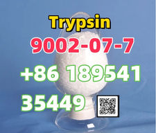 Cas 9002-07-7 Trypsin