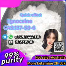 cas137-58-6 Lidocaine Pregabalin 148553-50-8 99% Purity good effect