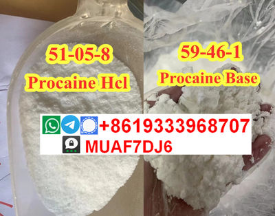 CAS59-46-1,Procaine base,Procaine powder, Novacaine ,Procaine hydrochloride - Photo 4