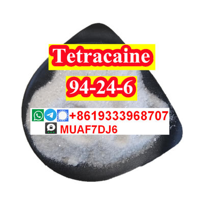 CAS94-24-6 Tetracaine powder with good quality best price for sale - Photo 2