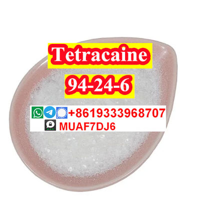 CAS94-24-6 Tetracaine powder with good quality best price for sale - Photo 3