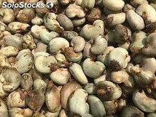 Cashew for sale