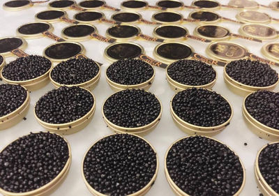 Caviar Beluga 00