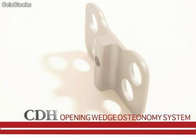 Cdh Opening Wedge Osteotomy (Técnica puddu)