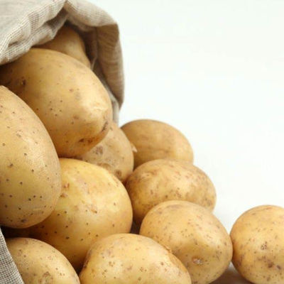 Cena świeżych ziemniaków/ziemniaków - Zdjęcie 2