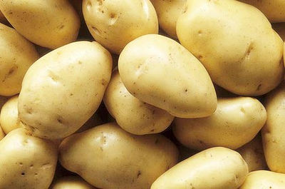 Cena świeżych ziemniaków/ziemniaków - Zdjęcie 3