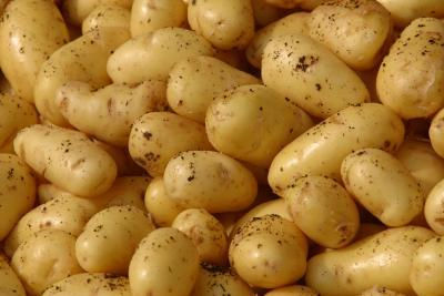 Cena świeżych ziemniaków/ziemniaków - Zdjęcie 5