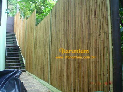 Cerca de bambu - Foto 4