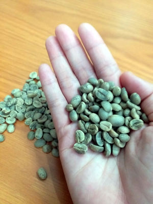 cerca importatore di chicchi di caffè verde lavati : Arabica Catimor