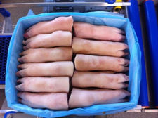 Cerdos congelados Cola, orejas, patas y patas traseras de cerdo/patas de cerdo