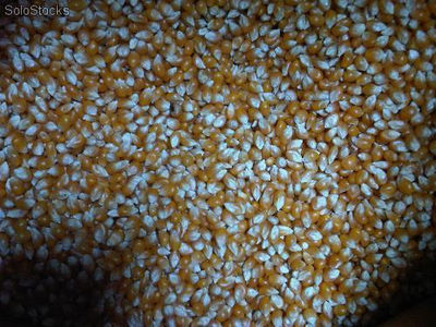 Cereales, granos y frutos secos - Foto 4