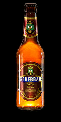 Cerveza Botella 33 cl Castúa Pale Ale