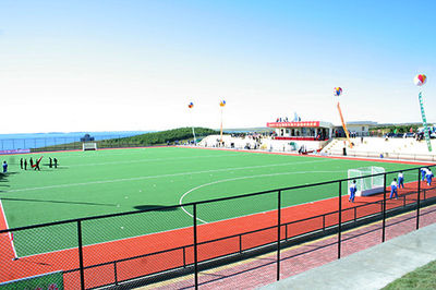 Césped artificial de campo de hockey malla curva 7300 (DTEX) altura: 10-25mm - Foto 3