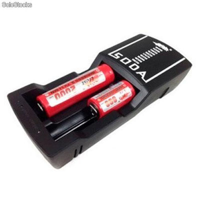 Chargeur EFest Double batteries rechargeables
