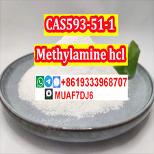 chemical intermediate Methylamine hcl with high puirty CAS593-51-1