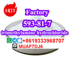 Chemical raw material trimethylamine hydrochloride CAS593-81-7 Factory