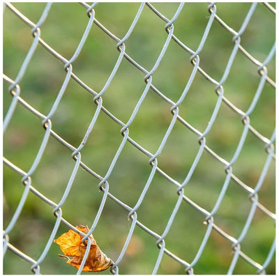chicken chain link fence - Foto 4