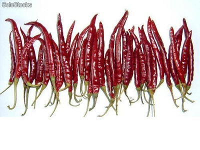Chile de arbol (Chile de árbol or Yunnan Chile with or without stem)