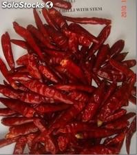 Chile japones (Chaotian Chili)