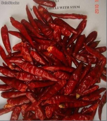 Chile japones (Chaotian Chili)