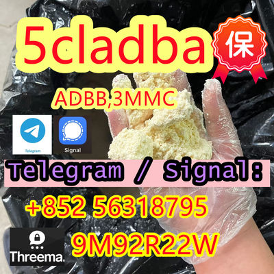 China 5cladba 5cladba from best supplier - Photo 3