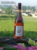 Chinon Rosé