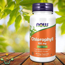 Chlorophylle 100mg NOW 90 capsules