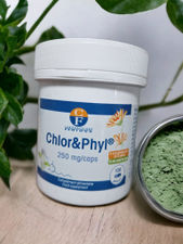 chlorophylle fenioux 250mg 120 gélules