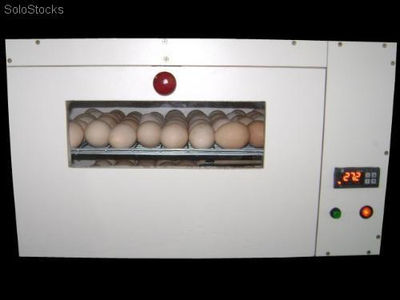 Chocadeiras 50 Ovos