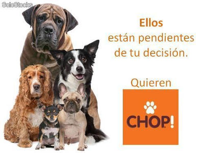 Chop! Alimento para perros cachorros - Foto 2