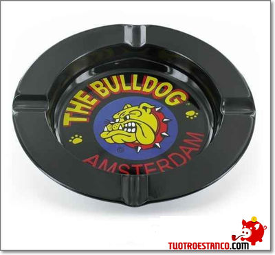 Cinzeiro Bulldog Amsterdam