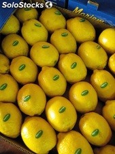 citron