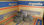 Clavos en rollo electrosoldado espiralados 2,2 x 50 mm ARGENFIX® - Di Tomaso Srl - 1