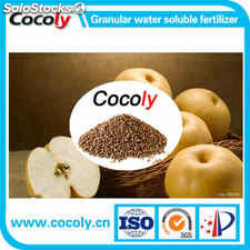 Cocoly granular water-soluble fertilizer China manufacturer