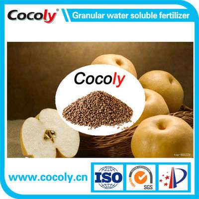 Cocoly granular water-soluble fertilizer China manufacturer